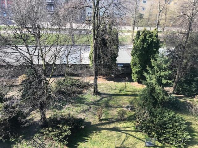 Apartament Gosia Nysa Extérieur photo