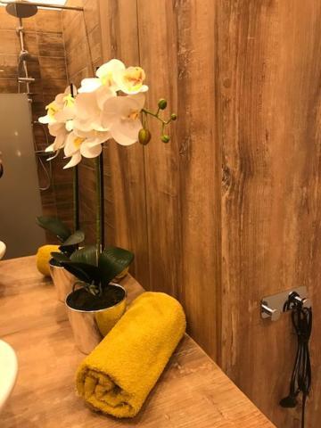 Apartament Gosia Nysa Extérieur photo
