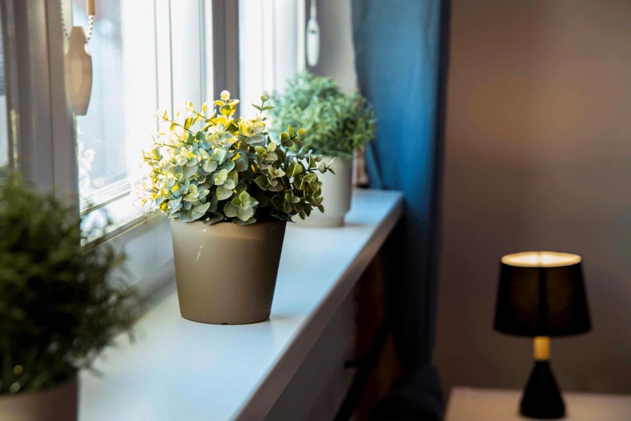 Apartament Gosia Nysa Extérieur photo